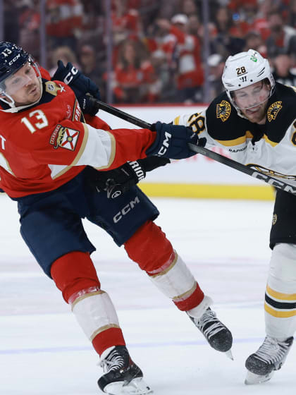 已根深蒂固 已根深蒂固