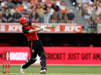 在德甲第 在德甲第